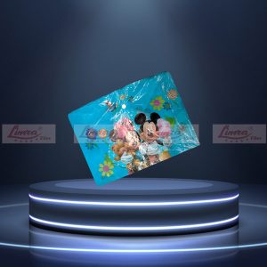 Clear Side (Picture) Button Bag